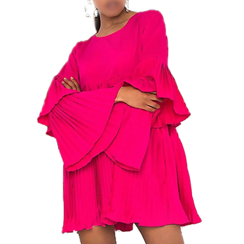 Job Lot Pleated Ruffle Mini Dress